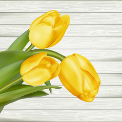 Similar image 11449827