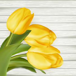 Similar image 11449834