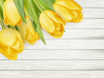 Similar image 11449847