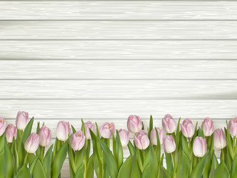 Similar image 11449850