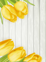 Similar image 11449866