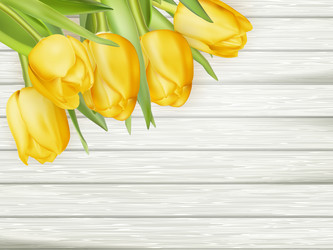 Similar image 11449870