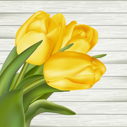 Similar image 11449885