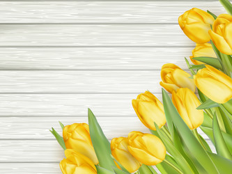 Similar image 11449889