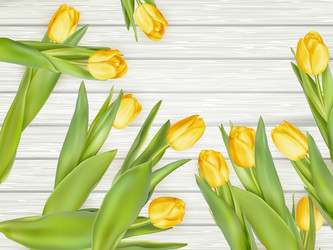 Similar image 11449890