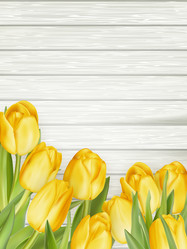 Similar image 11449910