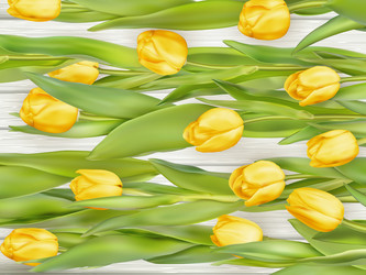 Similar image 11449936