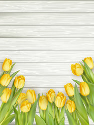 Similar image 11449818