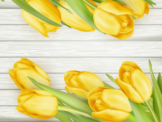 Similar image 11449840