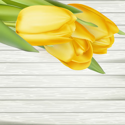 Similar image 11449842