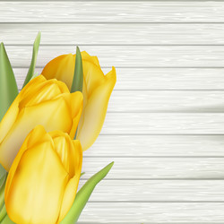 Similar image 11449843