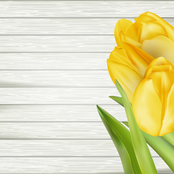 Similar image 11449844