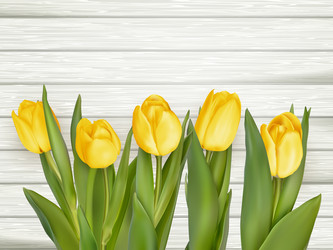 Similar image 11449856