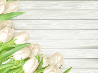 Similar image 11450100