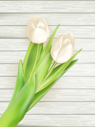 Similar image 11450102