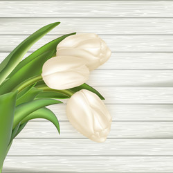 Similar image 11450187