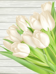 Similar image 11450203