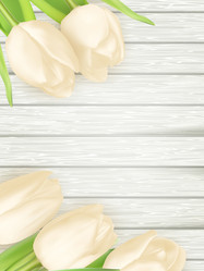 Similar image 11450217