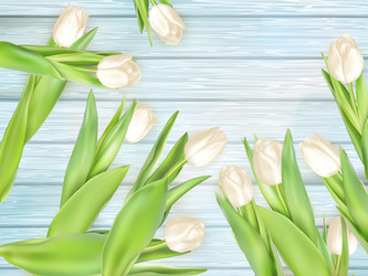 Similar image 11449429