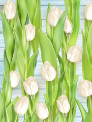 Similar image 11449430