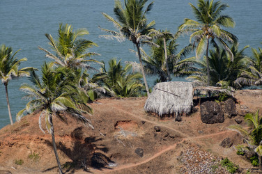 Similar image 11425398