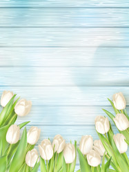 Similar image 11449369