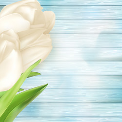 Similar image 11449437