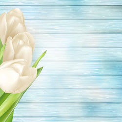 Similar image 11449452