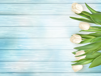 Similar image 11449454