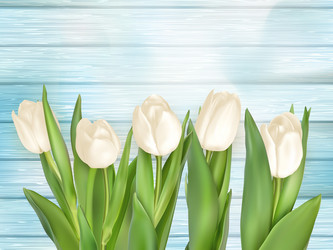 Similar image 11449488