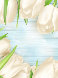 Similar image 11449489