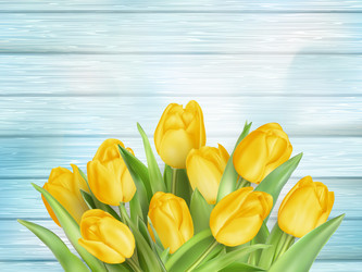 Similar image 11449493