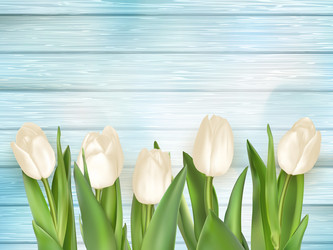 Similar image 11449494