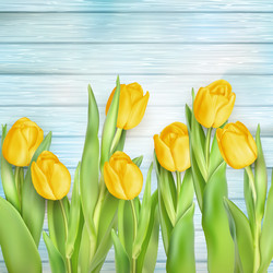 Similar image 11449511