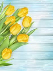 Similar image 11449512