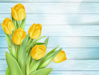 Similar image 11449514