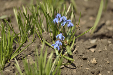 Similar image 11458936