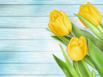 Similar image 11449613