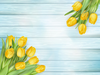 Similar image 11449616