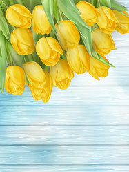 Similar image 11449633