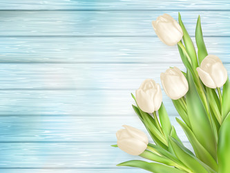 Similar image 11450025