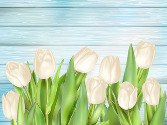 Similar image 11450029