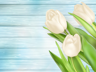 Similar image 11450030