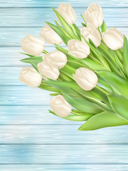 Similar image 11450049