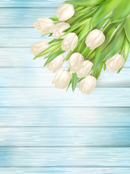 Similar image 11450050