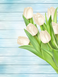 Similar image 11450225