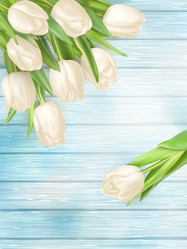 Similar image 11450226