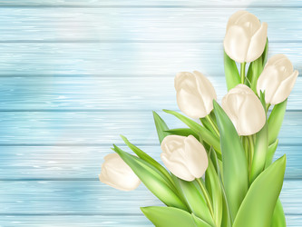 Similar image 11450268