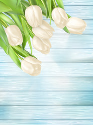 Similar image 11450269