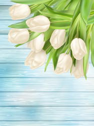 Similar image 11450285